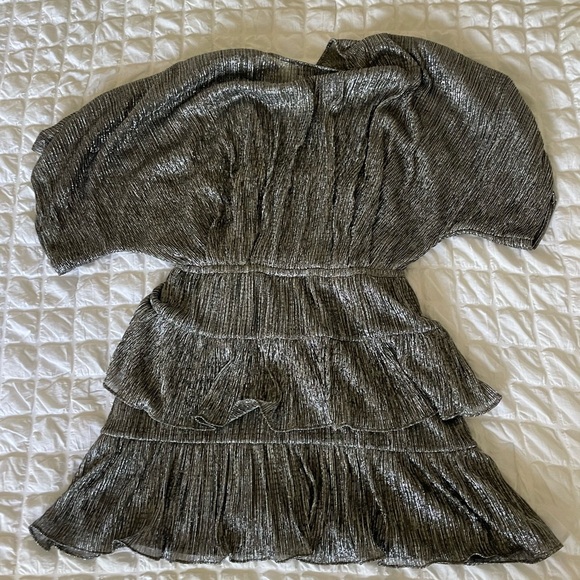 IRO Spina Metallic Ruffle Silver Dress - Picture 12 of 12